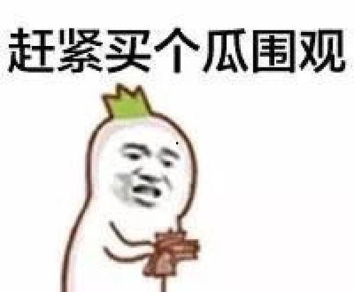 吃瓜群众 种子,吃瓜群众视角下的种子传奇