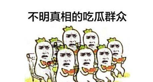 网爆吃瓜群众路线,揭秘网络舆论场中的围观力量