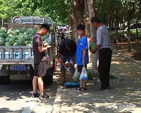 武清吃瓜群众事件视频曝光