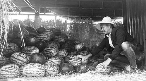 鹰潭吃瓜群众事件视频最新,网络热议背后的真相揭晓