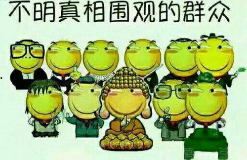 微信名字吃瓜群众怎么取,网络时代的围观力量